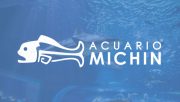 acuario-michin.jpg